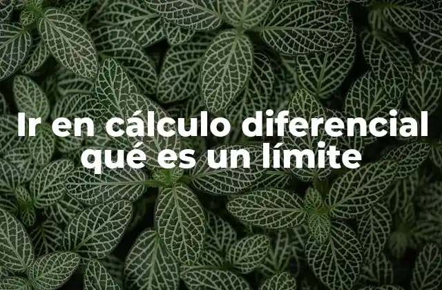 Ir en Cálculo Diferencial Qué es un Límite