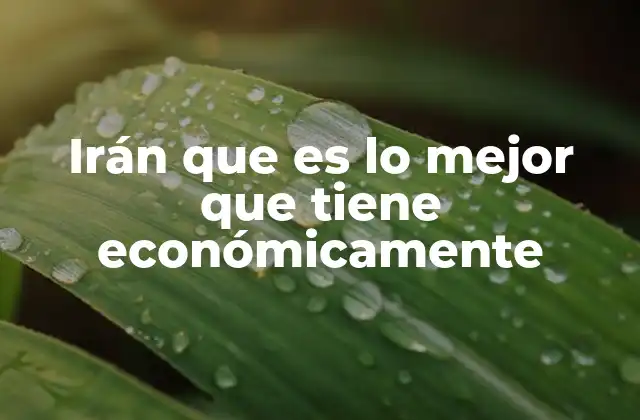 Irán que es Lo Mejor que Tiene Económicamente