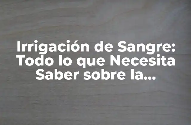 Irrigación de Sangre: Todo Lo que Necesita Saber sobre la Circulación Sanguínea