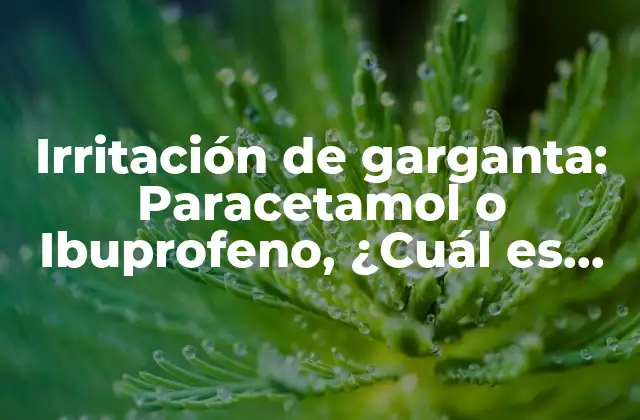 Irritación de Garganta: Paracetamol o Ibuprofeno, ¿cuál es Mejor?