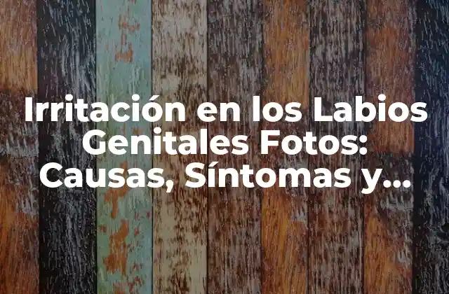 Irritación en los Labios Genitales Fotos: Causas, Síntomas y Tratamiento