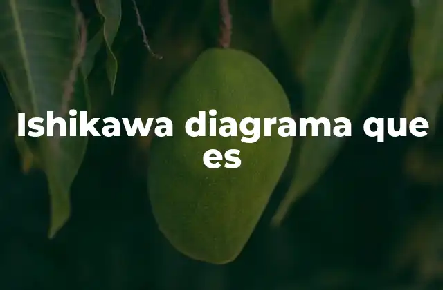 Ishikawa Diagrama que es