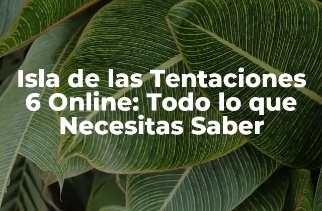 Isla de las Tentaciones 6 Online: Todo Lo que Necesitas Saber