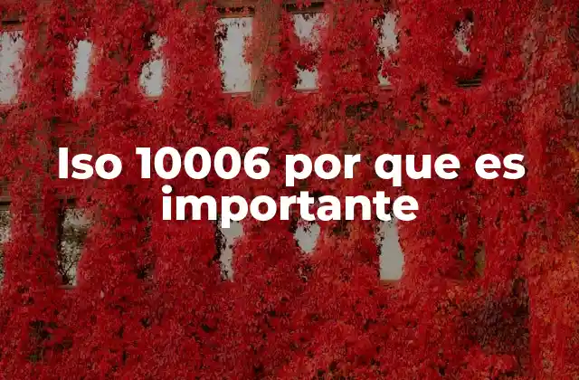 Iso 10006 por que es Importante