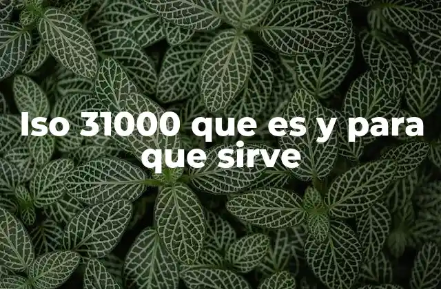 Iso 31000 que es y para que Sirve