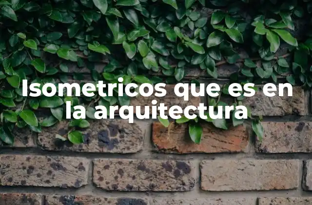 Isometricos que es en la Arquitectura