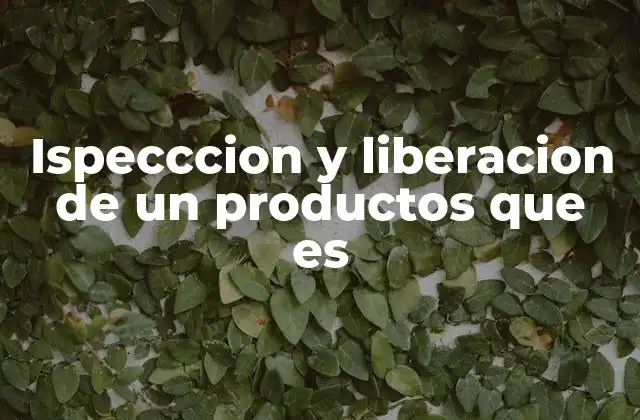 Ispecccion y Liberacion de un Productos que es