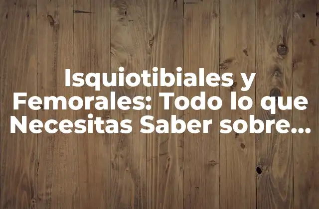 Isquiotibiales y Femorales: Todo Lo que Necesitas Saber sobre los Músculos de la Pierna