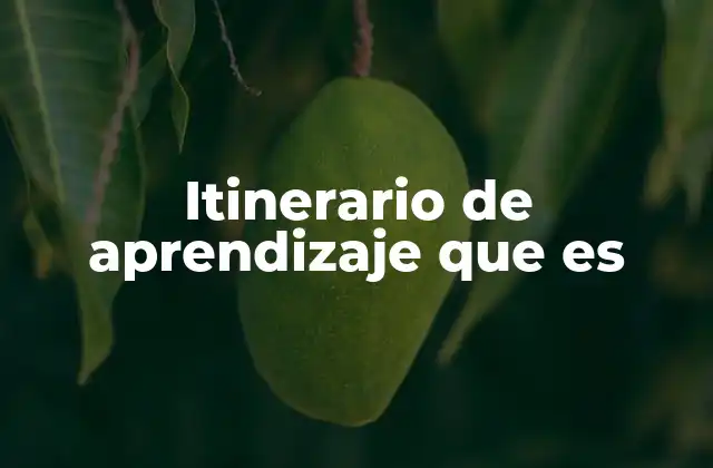 Itinerario de Aprendizaje que es