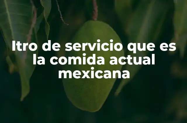 Itro de Servicio que es la Comida Actual Mexicana