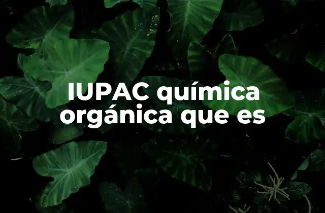 Iupac Química Orgánica que es