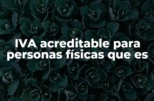 Iva Acreditable para Personas Físicas que es 2 Cómo funciona el IVA acreditable para personas físicas