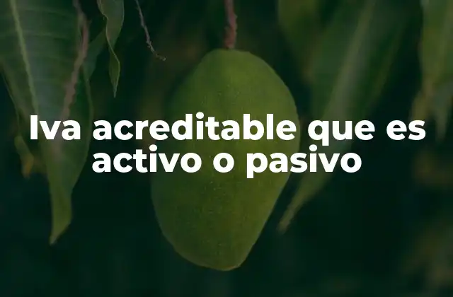 Iva Acreditable que es Activo o Pasivo