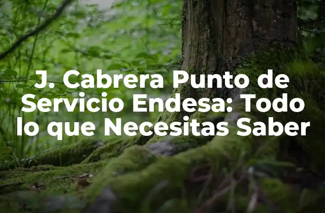 J. Cabrera Punto de Servicio Endesa: Todo Lo que Necesitas Saber