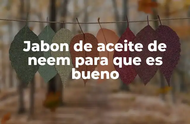 Beneficios del uso del jabón con neem para la piel