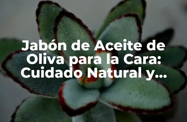 Jabón de Aceite de Oliva para la Cara: Cuidado Natural y Efectivo 2 ¿Qué es el Jabón de Aceite de Oliva para la Cara?