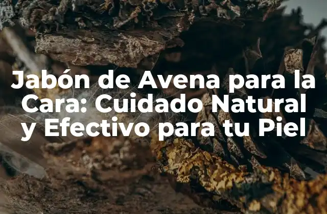 ¿Qué es el Jabón de Avena para la Cara?