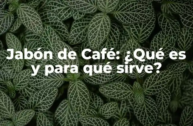 Jabón de Café: ¿qué es y para Qué Sirve?