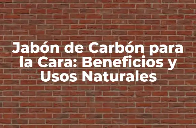 ¿Qué es el Jabón de Carbón para la Cara?