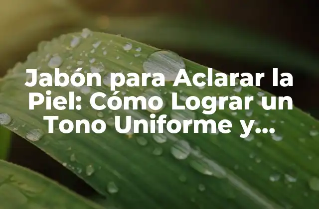 Jabón para Aclarar la Piel: Cómo Lograr un Tono Uniforme y Radiante