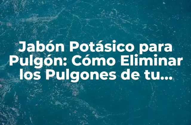 Jabón Potásico para Pulgón: Cómo Eliminar los Pulgones de Tu Jardín