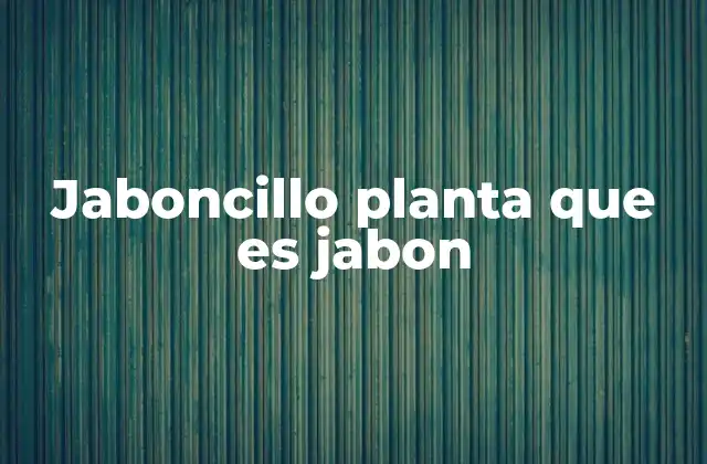 Jaboncillo Planta que es Jabon