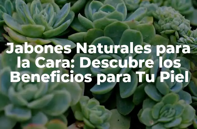 Jabones Naturales para la Cara: Descubre los Beneficios para Tu Piel