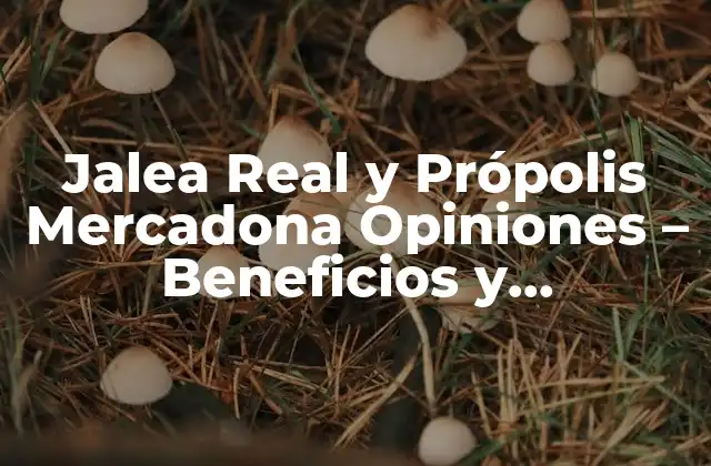 Jalea Real y Própolis Mercadona Opiniones – Beneficios y Efectividad