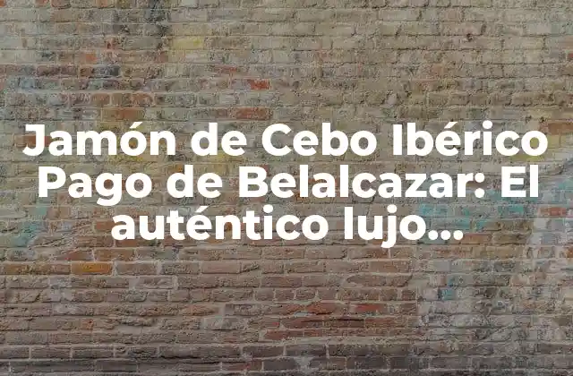 Jamón de Cebo Ibérico Pago de Belalcazar: el Auténtico Lujo Gastronómico