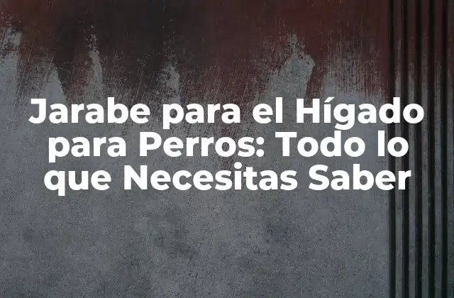 Jarabe para el Hígado para Perros: Todo Lo que Necesitas Saber