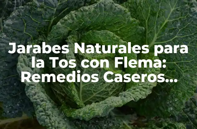 Jarabes Naturales para la Tos con Flema: Remedios Caseros Efectivos 2 ¿Cuál es la diferencia entre la tos seca y la tos con flema?