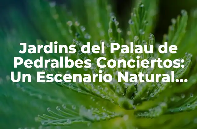 Jardins Del Palau de Pedralbes Conciertos: un Escenario Natural Único en Barcelona