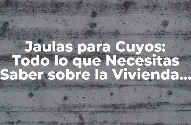 Jaulas para Cuyos: Todo Lo que Necesitas Saber sobre la Vivienda de Tus Pequeños Amigos