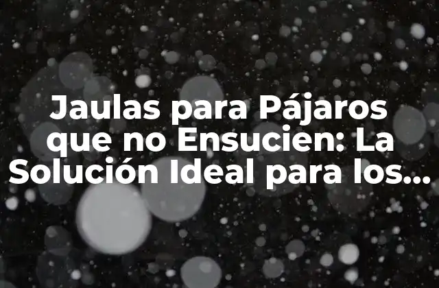 Jaulas para Pájaros que No Ensucien: la Solución Ideal para los Amantes de los Pájaros