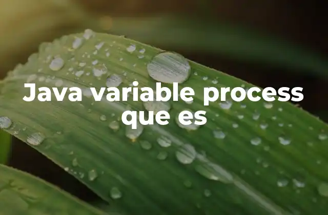 Java Variable Process que es