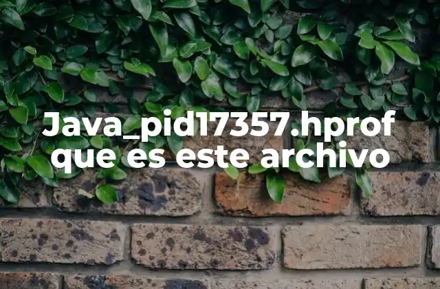 Java_pid17357.hprof que es Este Archivo
