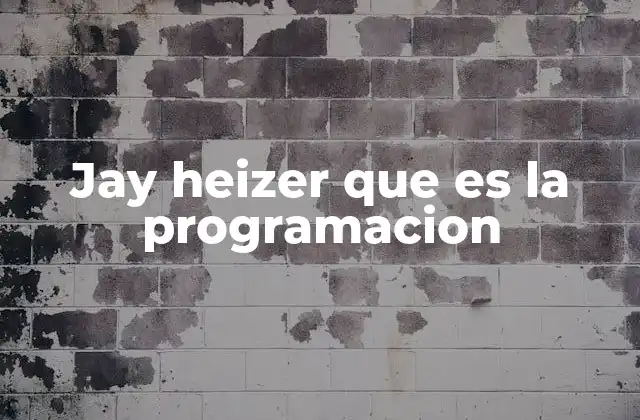 Jay Heizer que es la Programacion