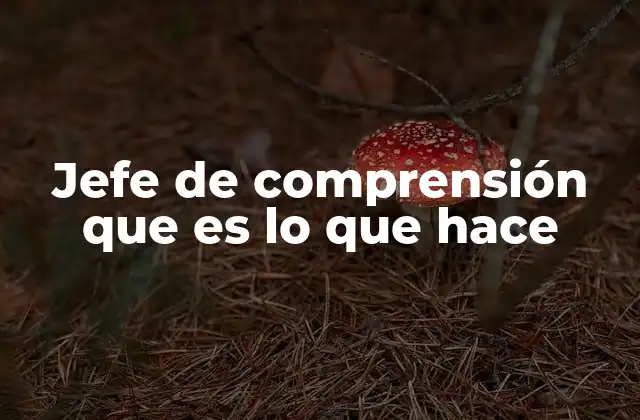 Jefe de Comprensión que es Lo que Hace