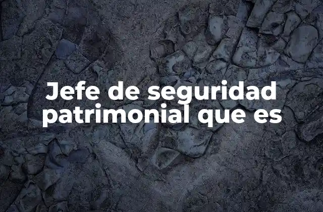 Jefe de Seguridad Patrimonial que es