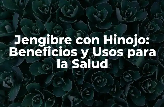 Jengibre con Hinojo: Beneficios y Usos para la Salud 2 Propiedades del Jengibre y del Hinojo