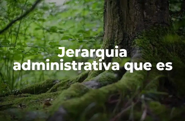Jerarquia Administrativa que es