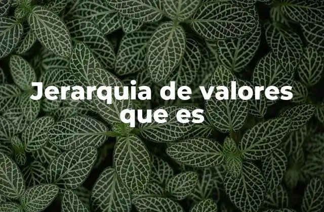 Jerarquia de Valores que es