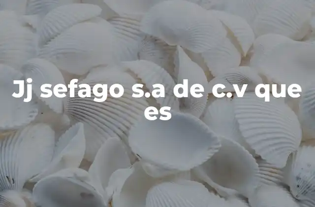 Jj Sefago S.a de C.v que es