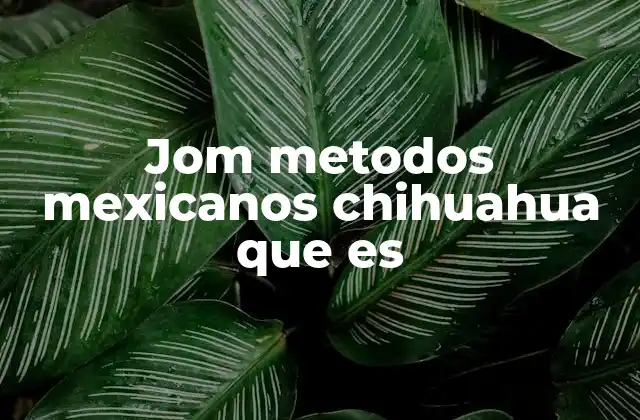 Jom Metodos Mexicanos Chihuahua que es