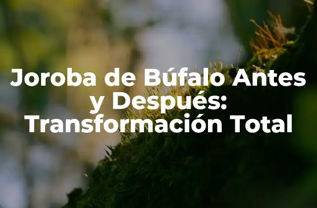 Joroba de Búfalo Antes y Después: Transformación Total