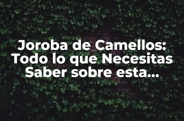 Joroba de Camellos: Todo Lo que Necesitas Saber sobre Esta Extraña Condición