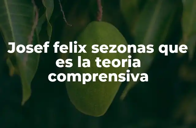 Josef Felix Sezonas que es la Teoria Comprensiva