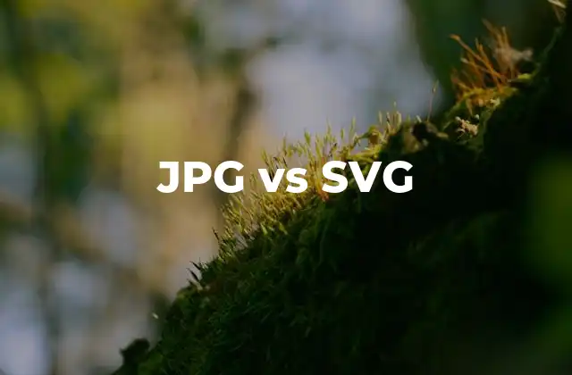 Ventajas y desventajas de cada formato