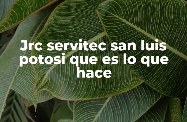 Jrc Servitec San Luis Potosi que es Lo que Hace 2 Servicios técnicos en San Luis Potosí: una necesidad creciente