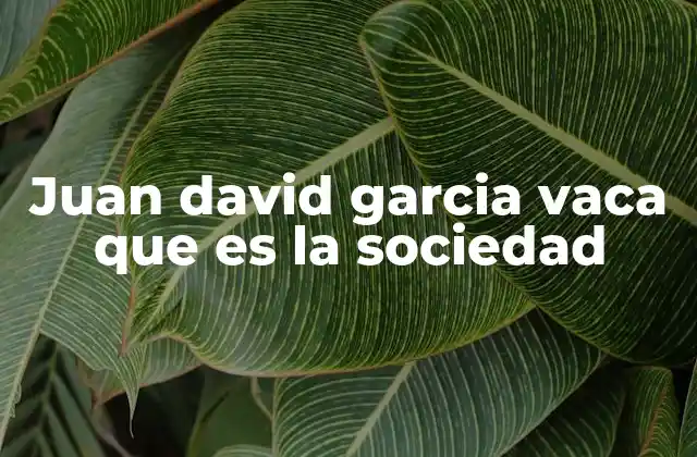 Juan David Garcia Vaca que es la Sociedad